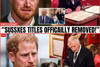 SHOCKING TWIST: Buckingham Palace Drops the Hammer on Harry & Meghan’s Kids After Years of Whispers… But the REAL Secret They’ve Been Hiding? It Could Shatter the Fairy Tale Forever.