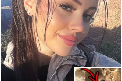 Grand Canyon Woman Vanished — 2 Years Later Found In A Cave, Looking Insane