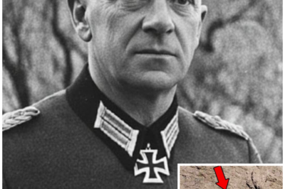 German Colonel Vanished in 1945 — 78 Years Later, His Secret Alpine Cabin Was Found