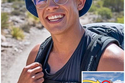 Hiker Vanished in the Mountains, 5 Months Later What They Found Changed Everything truecrimemystery