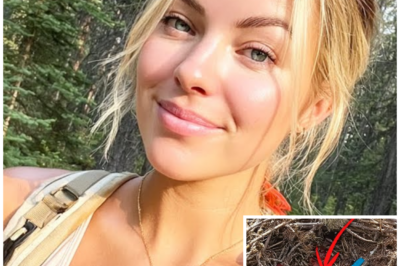 Girl Vanished on Mount Rainier – 9 Months Later THIS Was Found Inside Hawk’s Nest…