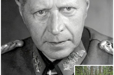German General Vanished in 1945 — 80 Years Later His Hidden Forest Bunker Was Discovered by Accident