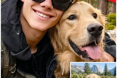 Blind Teen Vanished In Yosemite — 2 Years Later Dog Returns Carrying THIS In Its Mouth…