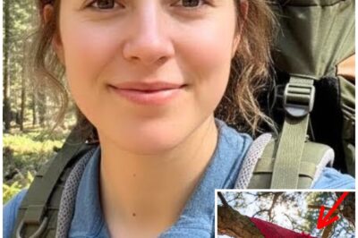 Girl Vanished In Yosemite – 7 Months Later THIS Was Found HANGING ON TREE…