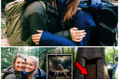 Two Girls Lost in the Forest — 5 Years Later, Found in the Most Unexpected Place