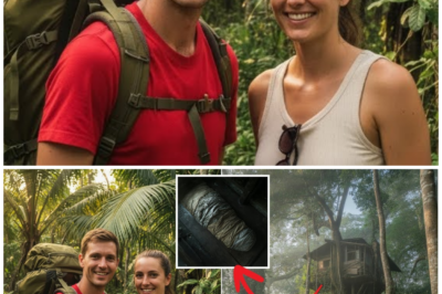 Two Tourists Vanished In Cambodia Jungle, 3 Years Later THIS Was Found In An Abandoned Tree House…