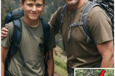Father and Son Vanished in Yellowstone, 12 Years Later Tourists Stumble Upon Something Shocking…