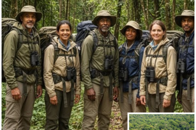 They Vanished In The Jungle, 12 Years Later Drones Record Something Unbelievable…