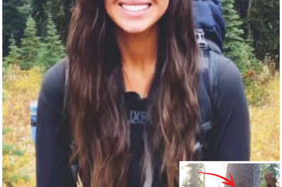 Solo Woman Hiker Vanished In Idaho Woods – 3 Years Later Found Beneath a TREE MARKED “X”…