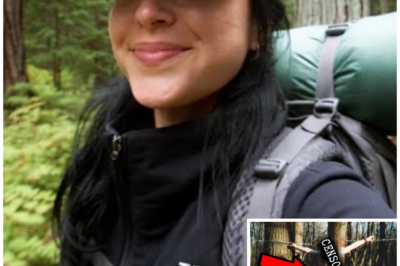 Missing Woman’s Desperate Fight for Survival — Discovered Bound, Her Words Changed Everything