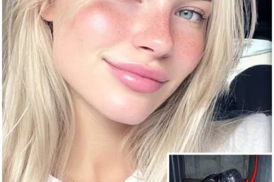 Model Vanished in LA — THIS Was Found Inside a U-Haul Box in a Storage Unit, WRAPPED IN BUBBLE WRAP