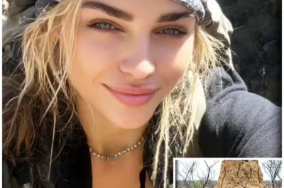 Hiker Vanished in Arizona — 7 Years Later Found As PART OF A GIANT TERMITE MOUND…