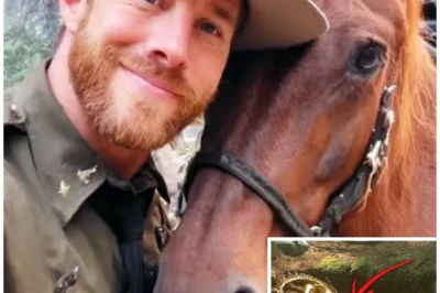 Ranger Vanished Near Mount Shasta — 6 Years Later They Find WHAT’S LEFT of His Horse…
