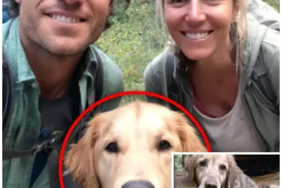 Mother And Son Vanished In Yosemite – 8 Months Later Their DOG Returns Alone With THIS…