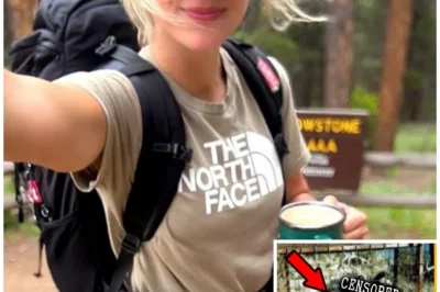 The Yellowstone Mystery That Shocked Everyone