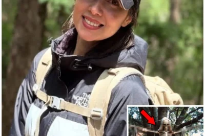 Ranger Finds HANGING SCARECROW in FOREST and REVEALS Secret of Missing Tourist 20 Years Ago…