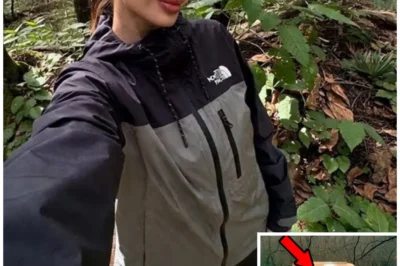 Tourist vanished in 2011 — 2 years later found SITTING in a CHAIR deep in the forest…