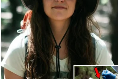 Hiker Disappeared in Southern Utah — Months Later, Her Hair Was Found Inside a Coyote…