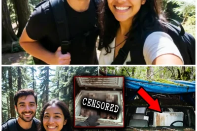 Teens found Abandoned van in forest — inside: two Missing Tourists in FREEZER…