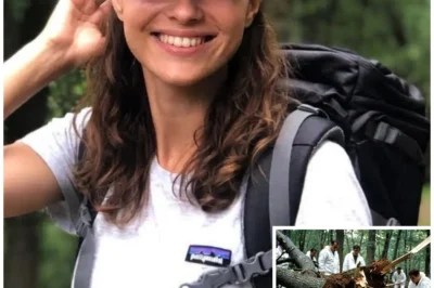 Touristin verschwand im Olympischen Nationalpark — 2 Jahre später unter BAUMWURZELN gefunden…