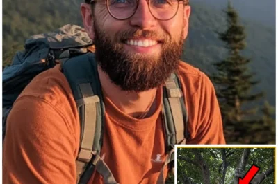 Lone Traveler vanished in Oregon National Forest — 3 years later found HANGING from a TREE…
