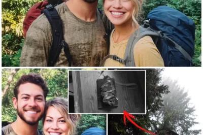Couple Vanished In Oregon – 6 Years Later THIS Was Found Inside An Abandoned Tree Cabin…