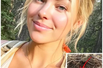 Girl Vanished on Mount Rainier – 9 Months Later THIS Was Found Inside Hawk’s Nest…