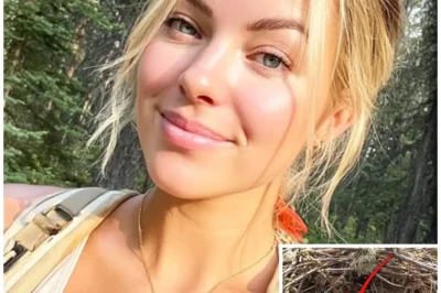 Girl Vanished on Mount Rainier – 9 Months Later THIS Was Found Inside Hawk’s Nest…