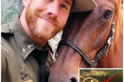 Ranger Vanished Near Mount Shasta — 6 Years Later They Find WHAT’S LEFT of His Horse…