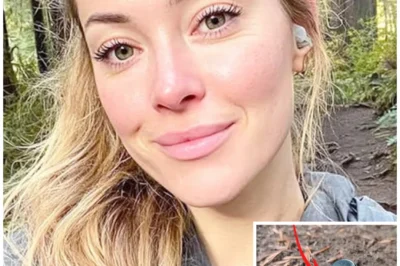Hiker Vanished In Redwoods – 9 Months Later Her FITNESS TRACKER STILL COUNTING STEPS…