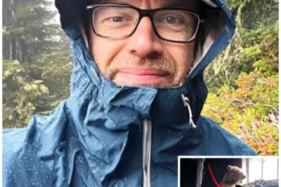 Tourist Vanished in Oregon Woods — 11 Years Later His Body Was Found Inside a TAXIDERMY BEAR…