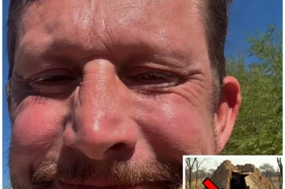 His Body Was Hidden in Plain Sight — 9 Years Until They Found Him