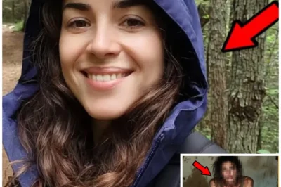 Missing 3 Years on the Appalachian Trail — How She Survived Will Haunt You