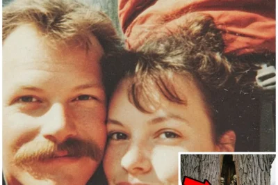 Tourist Couple Vanished in Joshua Park — 7 Years Later Their Bodies Found Inside a Tree…