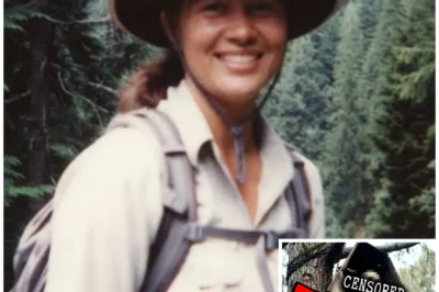 Tourist vanished in Olympic National Park — 2 years later COFFIN found hanging from TREE…