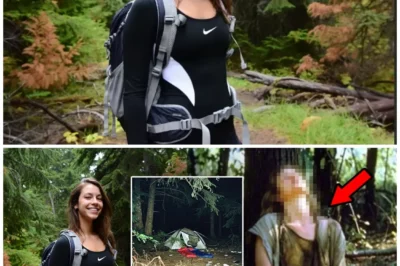 Tourist vanished while camping — 5 years later she RETURNED and revealed HORRIFYING DETAILS…