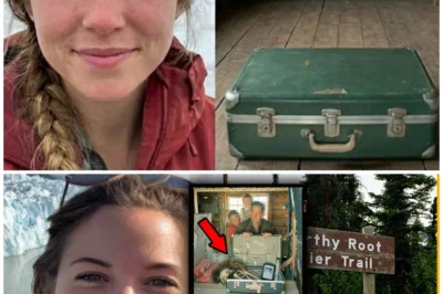 Family found suitcase in rented cabin — inside was WOMAN missing for 14 years in Alaska…