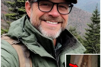 Tourist Vanished in Redwood National Park — His Bones Found 5 Meters Deep Inside Hollow Tree…