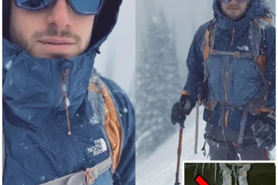 Climber vanished climbing Denali — 2 years later found UPSIDE DOWN frozen in an ICE CAVE…