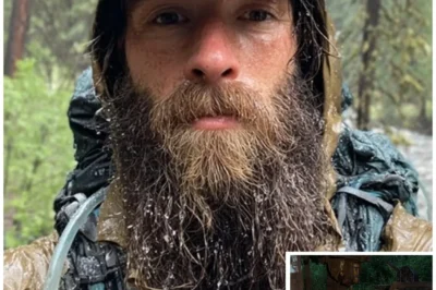 Tourist vanished in Oregon forests — a year later his parts found in SAWMILL SHREDDER…