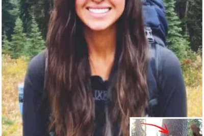 Solo Woman Hiker Vanished In Idaho Woods – 3 Years Later Found Beneath a TREE MARKED “X”…