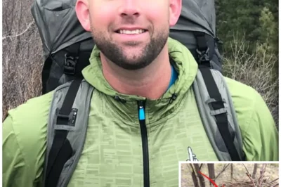 Hiker Disappeared In The Rocky Mountains – 5 Years Later SKULL Found In BIRD NEST…