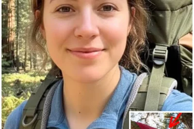 Girl Vanished In Yosemite – 7 Months Later THIS Was Found HANGING ON TREE…