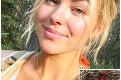 Girl Vanished on Mount Rainier – 9 Months Later THIS Was Found Inside Hawk’s Nest…