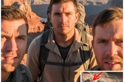 Brothers Vanished On Mountain trip — 2 Years Later Found One returned with A Shocking Story.