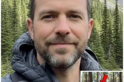 Solo Hiker Vanished In Washington – 3 Months Later was Seen Buried Upside down…