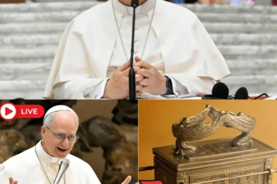 👀 Pope Leo XIV Declares That a Recently Found Artifact Could Be Linked to the Ark of the Covenant  The artifact is small, but the psychology is enormous—because once people smell “miracle,” every motive gets questioned and every denial sounds like a cover-up.👇
