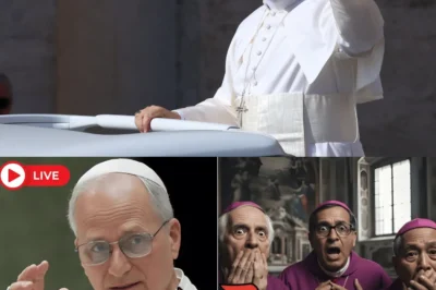 A Private Vatican Confrontation, a Formal Petition, and a Number That Changed the Temperature: Pope Leo XIV allegedly asked how many canons he was accused of breaking, then treated the answer like a message—not a mistake.“I consulted God.” The twist that rattles insiders: the accusation may be the safer story, while the real story is the Pope redefining what “obedience” looks like on camera—turning critics into unwilling props in a narrative war where backing down could look like guilt ⚠️