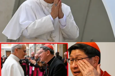 Pope Leo XIV “Dismisses” Cardinal Tagle—But the Vatican’s Most Chilling Detail Was How Quietly It Happened: no public clash, no messy explanation, just a private summons and a closed-door gap where the story should be.“You’re not being removed, you’re being repositioned.” The twist is brutal: what looks like discipline could actually be protection, because when a beloved figure vanishes without noise, it may signal a larger fight over image, influence, and who gets to define compassion as strength—or as liability.😶‍🌫️