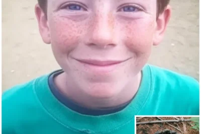 Boy Vanished Near His Grandparents’ Farm in Kansas — 6 Years Later Hunters Find His Baseball Glove..